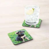 ドイツの羊飼いの子犬 コースター (右側)