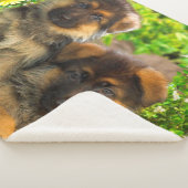 ドイツの羊飼いの子犬 シェルパブランケット (3/4)