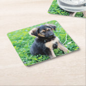 ドイツの羊飼いの子犬 スクエアペーパーコースター (アングル)