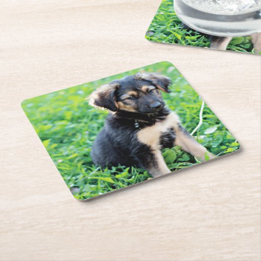 ドイツの羊飼いの子犬 スクエアペーパーコースター (アングル)