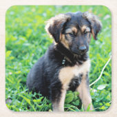 ドイツの羊飼いの子犬 スクエアペーパーコースター (正面)