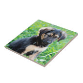 ドイツの羊飼いの子犬 タイル (側面)