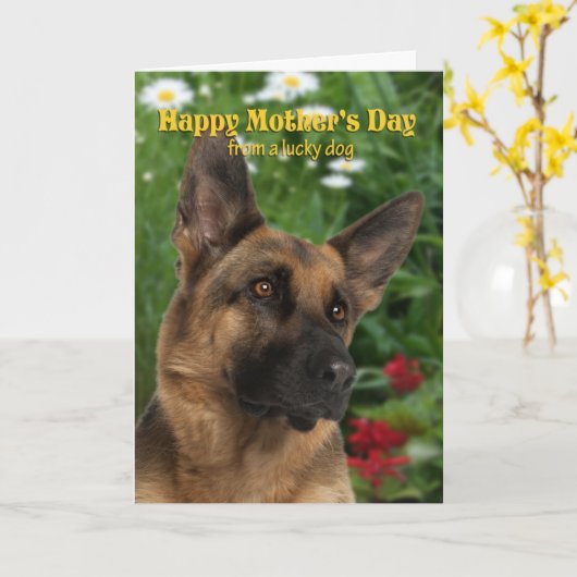 ドイツの羊飼いの母の日のカードから カード (黄色い花)