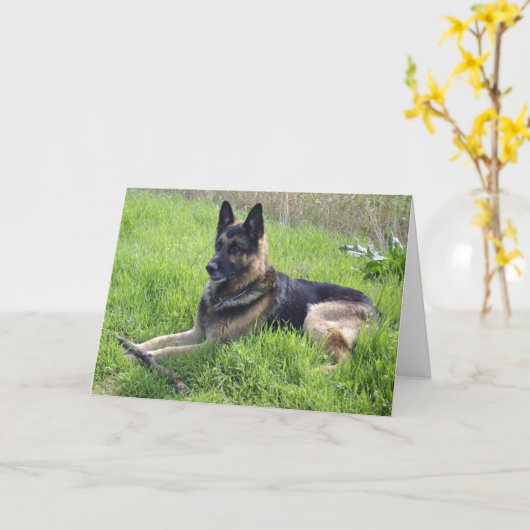 ドイツの羊飼いの父の日 カード (黄色い花)