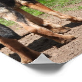 ドイツの羊飼いほど立派なものはない ポスター (角)