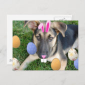 ドイツの羊飼いイースターパピー シーズンポストカード (正面/裏面)