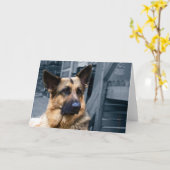 ドイツの羊飼いカード カード (黄色い花)