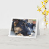 ドイツの羊飼いカード カード (黄色い花)