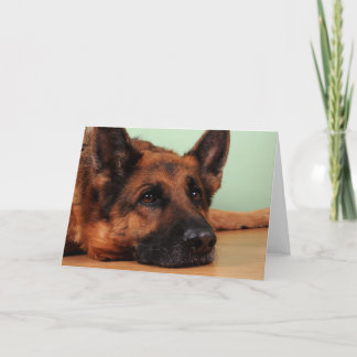 ドイツの羊飼いカード カード