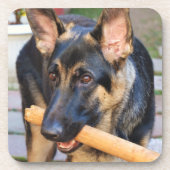 ドイツの羊飼いバイシャーリー・テイラー コースター (正面)