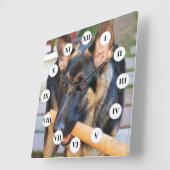 ドイツの羊飼いバイシャーリー・テイラー スクエア壁時計 (傾斜)