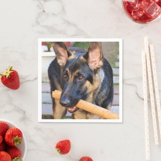 ドイツの羊飼いバイシャーリー・テイラー スタンダードカクテルナプキン (インサイチュ)