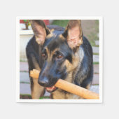 ドイツの羊飼いバイシャーリー・テイラー スタンダードカクテルナプキン (正面)