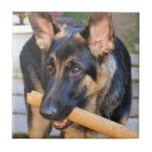 ドイツの羊飼いバイシャーリー・テイラー タイル (正面)