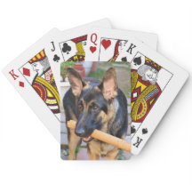 ドイツの羊飼いバイシャーリー・テイラー