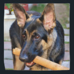 ドイツの羊飼いバイシャーリー・テイラー バンダナ<br><div class="desc">ジャーマンシェパード・バンダナ。クリックボタンでテキスカスタマイズトを追加。イメージは回転またはサイズ変更できる。</div>