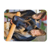 ドイツの羊飼いバイシャーリー・テイラー マグネット (横)