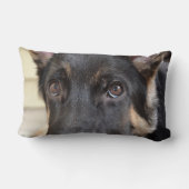 ドイツの羊飼いバイシャーリー・テイラー ランバークッション (裏面)