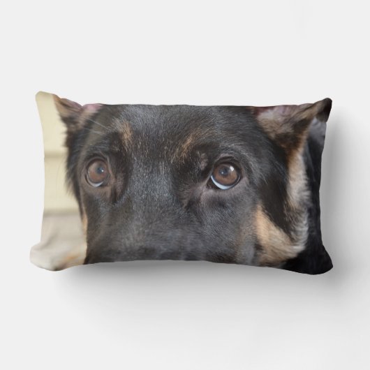 ドイツの羊飼いバイシャーリー・テイラー ランバークッション (正面)