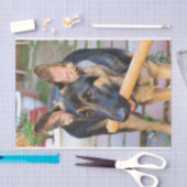 ドイツの羊飼いバイシャーリー・テイラー 薄葉紙 (クラフト)