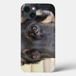 ドイツの羊飼いバイシャーリー・テイラー iPhone 13ケース