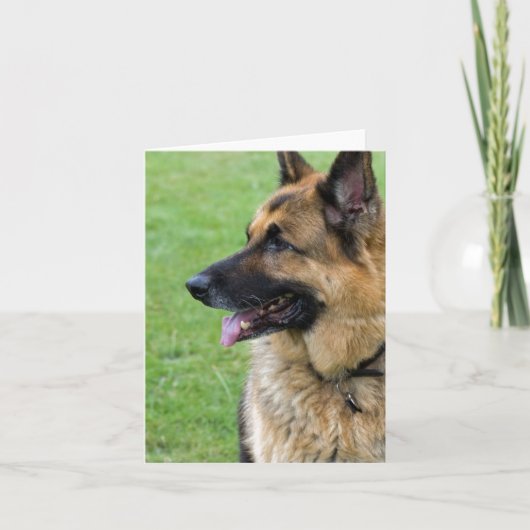 ドイツの羊飼いプロフィール カード (正面)
