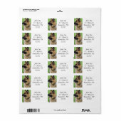 ドイツの羊飼いプロフィール ラベル (フルシート)