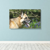 ドイツの羊飼いヘッドショット3 キャンバスプリント (インサイチュ (ウッドフロア))