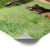 ドイツの羊飼いママとパッランニングプのポスター ポスター (角)