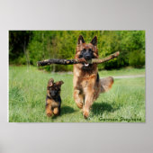 ドイツの羊飼いママとパッランニングプのポスター ポスター (正面)