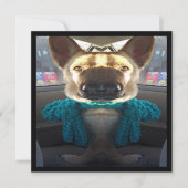 ドイツの羊飼いミラー歪み 招待状 (正面)