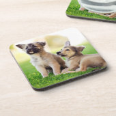 ドイツの羊飼い二匹の子犬 コースター (左側)