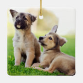ドイツの羊飼い二匹の子犬 セラミックオーナメント (裏面)