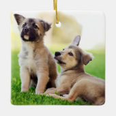 ドイツの羊飼い二匹の子犬 セラミックオーナメント (正面)