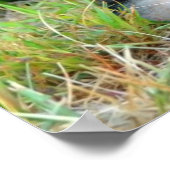 ドイツの羊飼い人形のポスター ポスター (角)