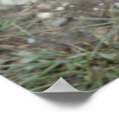 ドイツの羊飼い人形のポスター ポスター (角)