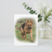 ドイツの羊飼い女性「ジラ」 ポストカード (スタンド正面)