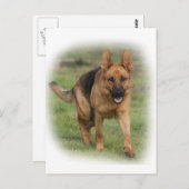 ドイツの羊飼い女性「ジラ」 ポストカード (正面/裏面)