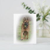 ドイツの羊飼い女性「ヴィータ」 ポストカード (スタンド正面)