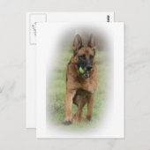 ドイツの羊飼い女性「ヴィータ」 ポストカード (正面/裏面)