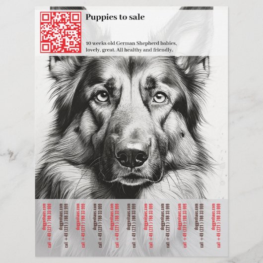 ドイツの羊飼い子犬の販売 チラシ (正面)