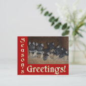 ドイツの羊飼い子犬シーズングリーティングクリスマス シーズンポストカード (スタンド正面)