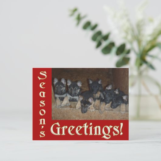 ドイツの羊飼い子犬シーズングリーティングクリスマス シーズンポストカード (スタンド正面)