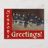 ドイツの羊飼い子犬シーズングリーティングクリスマス シーズンポストカード (正面)