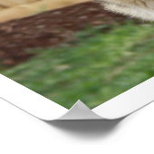 ドイツの羊飼い座り警告 ポスター (角)