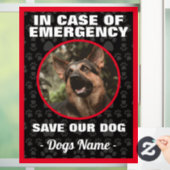 ドイツの羊飼い犬が救急用には ウィンドウサイン (ホーム)