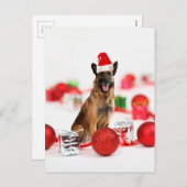 ドイツの羊飼い犬とクリスマスプレゼントSanta Hat シーズンポストカード (正面/裏面)