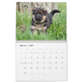 ドイツの羊飼い犬と子犬のカレンダー カレンダー (2月 2027)