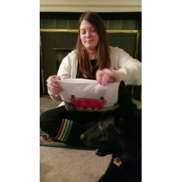 ドイツの羊飼い犬のクリスマスそれを家に運転， ZK クッション