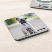 ドイツの羊飼い犬の歩道 コースター (左側)